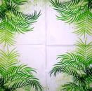 001 Pflanzen - 3 lagig - Molca